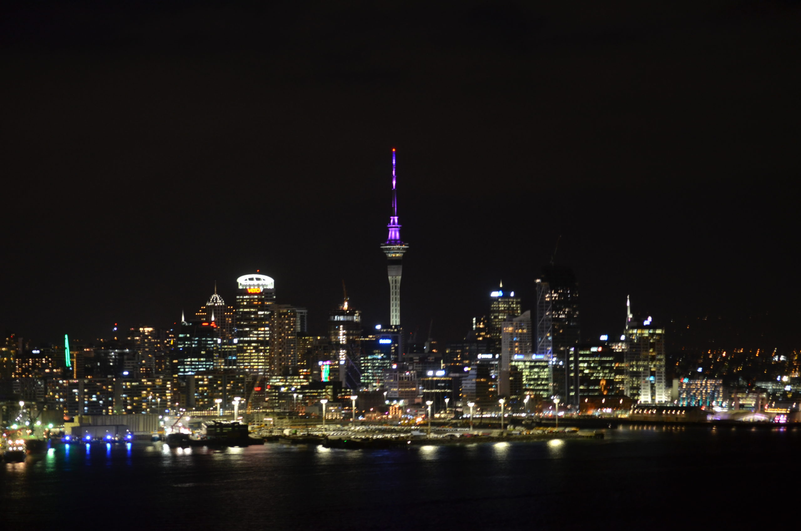 ニュージーランド 観光ガイドブログ 美味しいディナーと綺麗な夜景 Mydo Nz